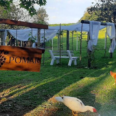 Casa Na Arvore Com Hidro, Piscina, Trilha, Cavalo Bento Gonçalves Eksteriør bilde
