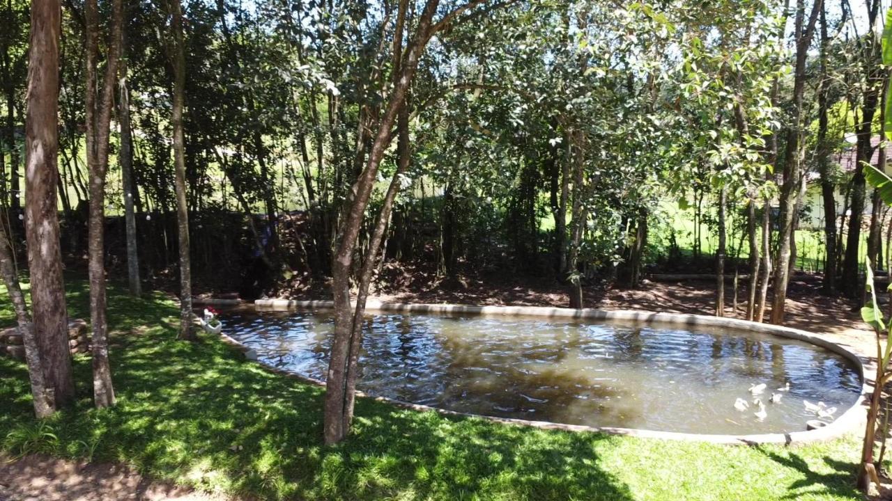 Casa Na Arvore Com Hidro, Piscina, Trilha, Cavalo Bento Gonçalves Eksteriør bilde