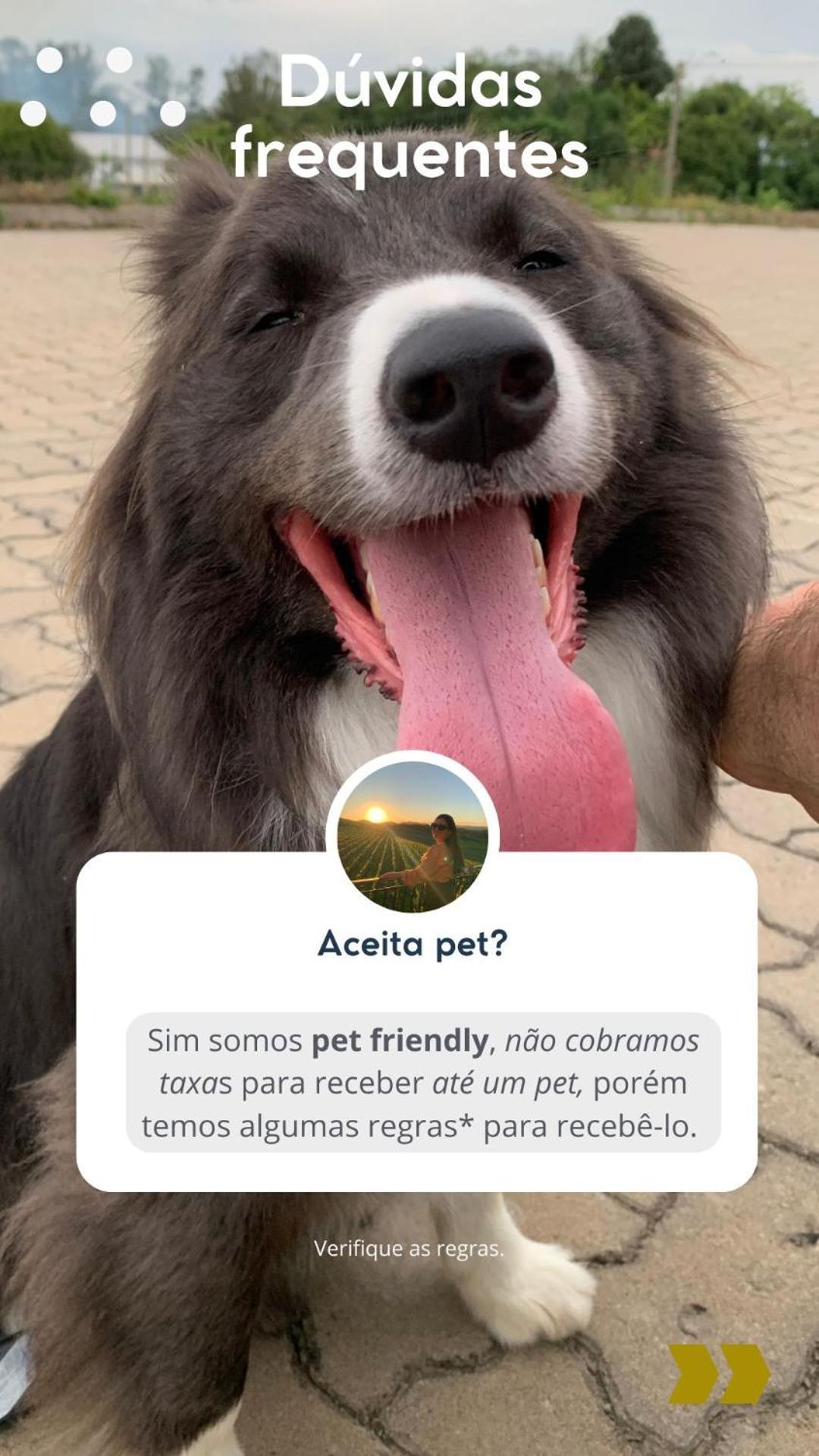 Casa Na Arvore Com Hidro, Piscina, Trilha, Cavalo Bento Gonçalves Eksteriør bilde