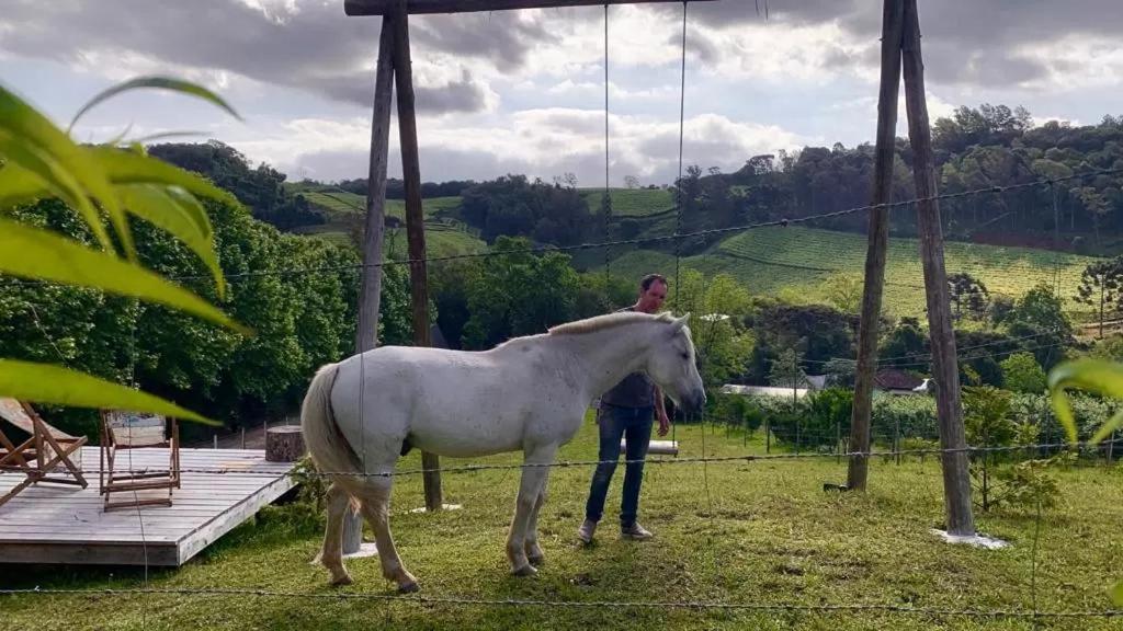 Casa Na Arvore Com Hidro, Piscina, Trilha, Cavalo Bento Gonçalves Eksteriør bilde