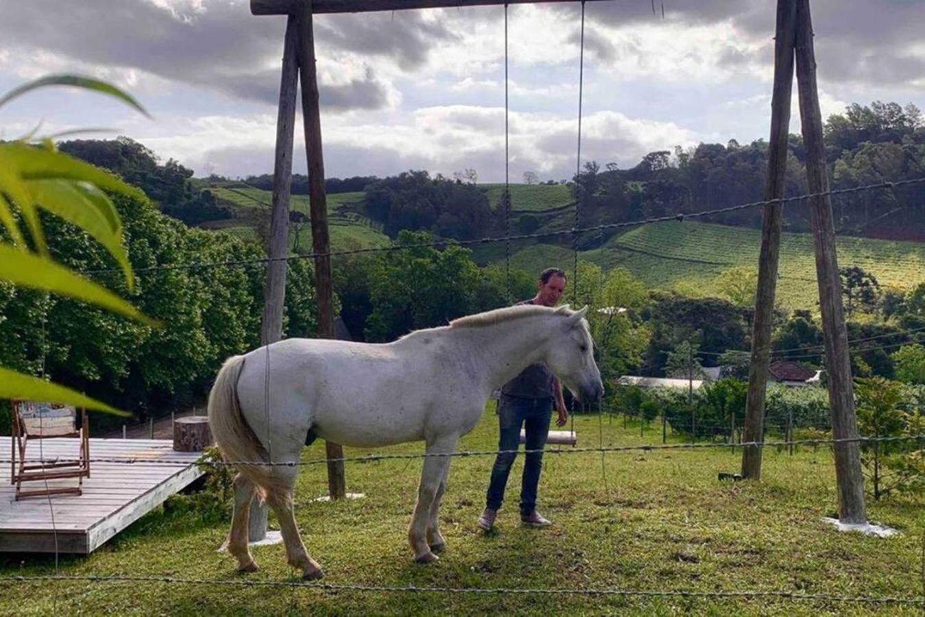 Casa Na Arvore Com Hidro, Piscina, Trilha, Cavalo Bento Gonçalves Eksteriør bilde