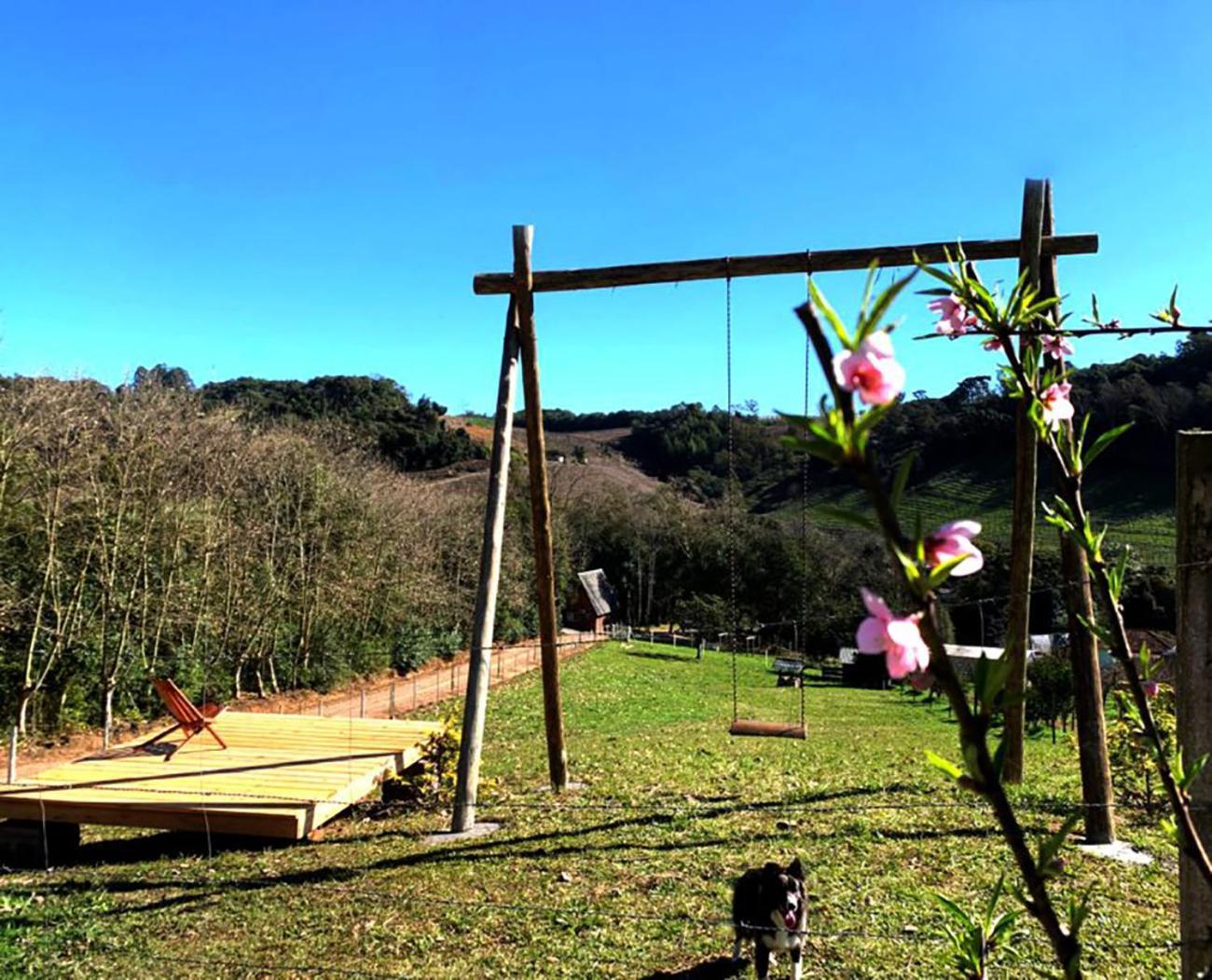 Casa Na Arvore Com Hidro, Piscina, Trilha, Cavalo Bento Gonçalves Eksteriør bilde